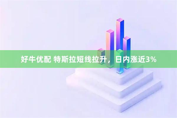 好牛优配 特斯拉短线拉升，日内涨近3%