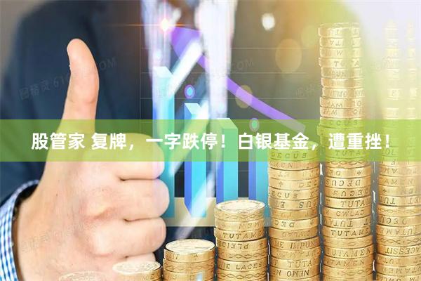 股管家 复牌，一字跌停！白银基金，遭重挫！